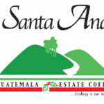 グアテマラ　2015COE　入荷